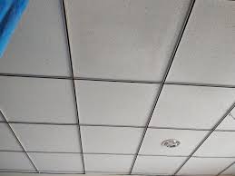 armstrong ceiling tile 12 mm at rs 40