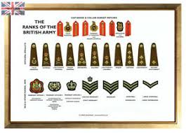 Details About Large A3 Ranks Of The British Army Poster Military Recruit Rank Structure