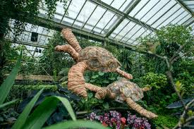 kew gardens orchid festival 2022 review