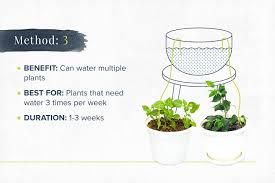 how to water plants while away 6 diy