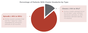 Episodic Cluster Headache Patient Profile Emgality
