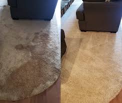 dynamic carpet care