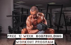 12 week bodybuilding workout program