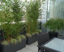Balcony Plants Bamboo Screen Garden