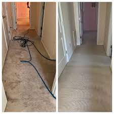 carpet cleaning in new bern nc