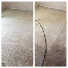 executive green carpet cleaning 1200