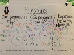 Ms Spofforths Kindergarten Learning About Penguins
