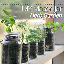 Diy Mason Jar Herb Garden