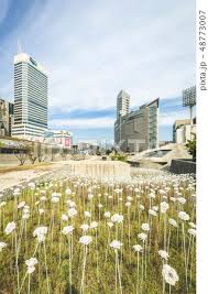 Dongdaemun Design Plaza Ddp Seoul By