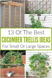 cuber trellis ideas 13 of the best