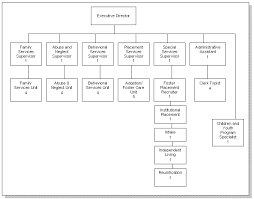 Organization Of The Cps Agency Aspe