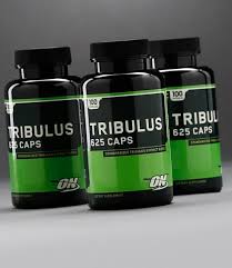 optimum nutrition on tribulus 625 caps