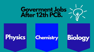 Want to pursue ac computer course after 12th commerce with maths? Government Jobs After 12th Pcb Career Options Jobopening