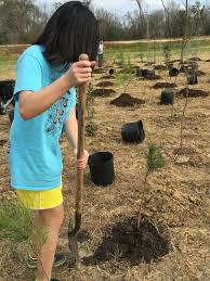 250 volunteers plant 2 000 plus trees