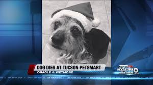 Check spelling or type a new query. Dog Dies During Nail Trim 4 Petsmart Employees Charged Peta