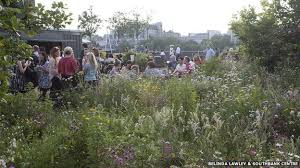 Is London Moving Its Gardens To The Sky