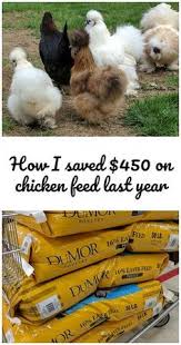 How I Saved 450 On Chicken Feed Last Year You Can Too