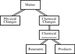 Chapter 8 Chemical Reactions Flashcards