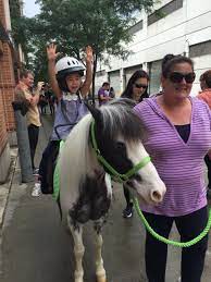 Hire Chateau Stables - Pony Party in New York City, New York
