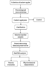 Flowchart Representing Clarification And Preservation Of