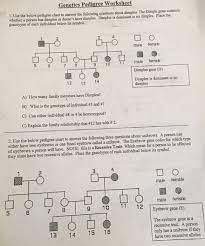 Genetics pedigree worksheet answer key, genetics pedigree worksheet answer key and pedigree charts worksheets answer key are some main things we will present to you based on the gallery title. Solved Genetics Pedigree Worksheet 1 Use The Below Pedig Chegg Com