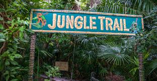 Sarasota Jungle Gardens Must Do