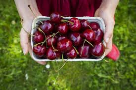 cherry allergy symptoms what to avoid