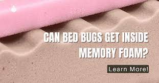 Can Bed Bugs Get Inside Memory Foam