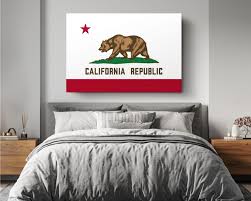 California State Flag Usa Flags Edition