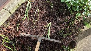 Add Compost To An Existing Garden