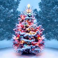 History of Christmas Trees - HISTORY
