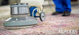 preventing moth damage on rugs and