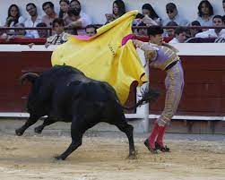 La plaza de Cañaveralejo abre la puerta grande para toreros españoles | Qué  Pasa