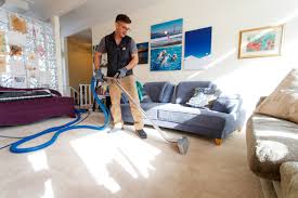 carpet cleaning highlands ranch