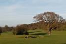 High Elms Golf Course Wedding Venue Orpington, Kent | hitched.co.uk