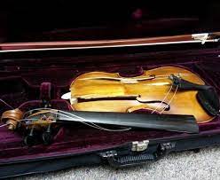 Violin Cello Insurance Cover The Assets With Valuable Policy gambar png