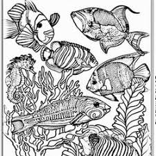 Fische malvorlagen zum ausdrucken hamburg fish coloring pages for 14 pics how to draw in 1. Fische Ausmalbilder Fur Erwachsene Kostenlos Zum Ausdrucken