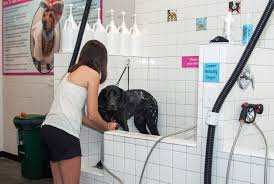 The average cost per car is about $28.00. Self Serve Self Washing Dog Wash Station In Greensboro At All Pets Considered