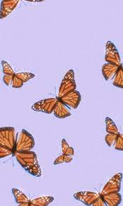 Purple glitter butterfly wallpapers top free purple glitter image information: Butterfly Aesthetic Wallpaper Nawpic