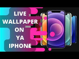 set live wallpaper from tiktok on your