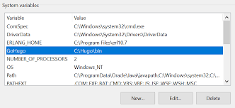 set environment variable using