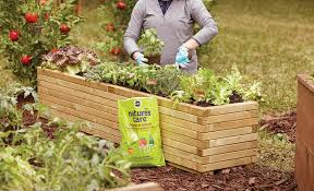 Ideas And Tips For Your Raised Garden