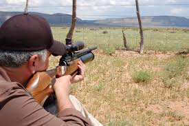 Hunting Airgun Power Requirements Afield On Airguns