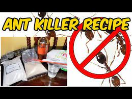 ant bait recipe using boric acid
