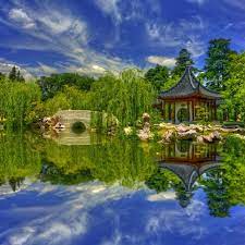 In This Gorgeous Chinese Garden At The