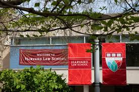 hls 1l profile and facts harvard law