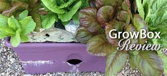 Growbox Self Watering Planter