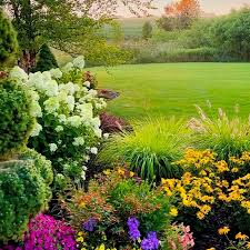 Blooming Vibrant Garden