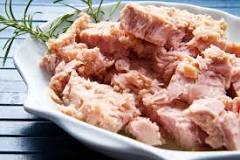 How  do  you  tell  if  canned  tuna  has  gone  bad?