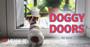 The Best Doggy Doors Of 2023 Sit